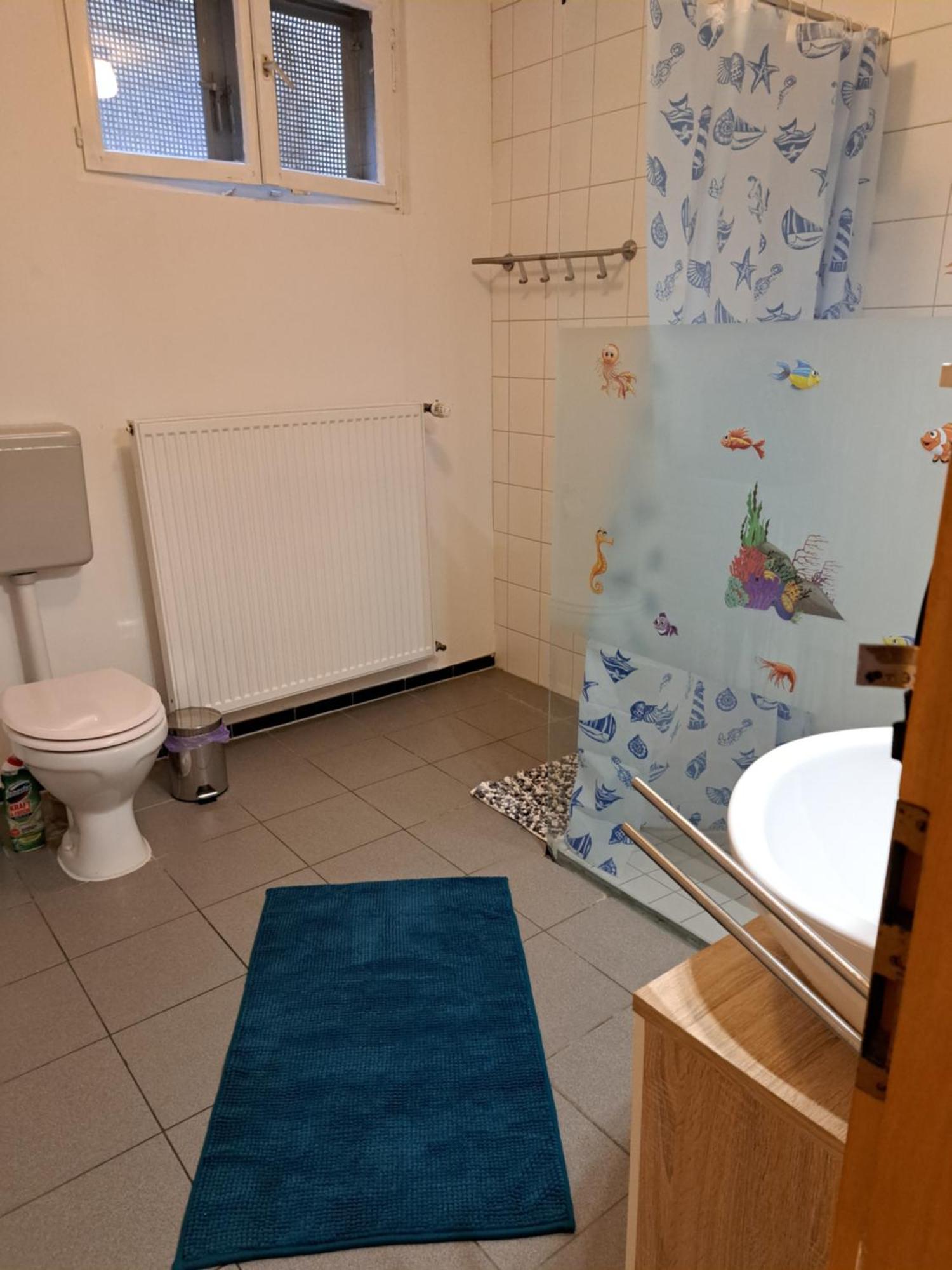 Wohnung Mit 2 - 3 Zimmern Ballenberg Zewnętrze zdjęcie